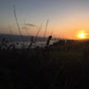 Meet your Posher, Abigail